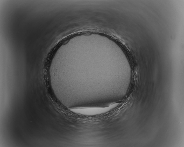 X0000093371496200711081514