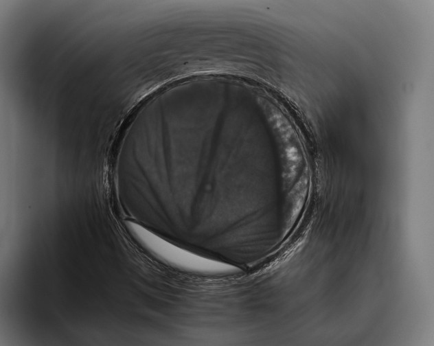 X0000093371497200711081514