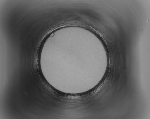 X0000093371498200711081514