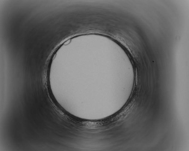 X0000093371500200711081514