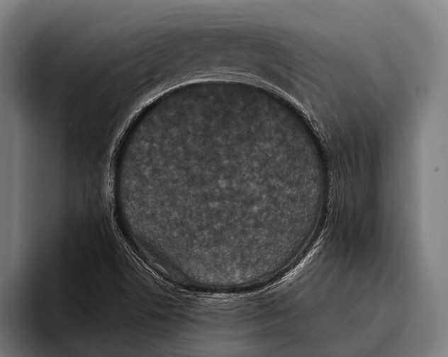 X0000093371506200711081514