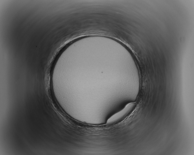 X0000093371507200711081514