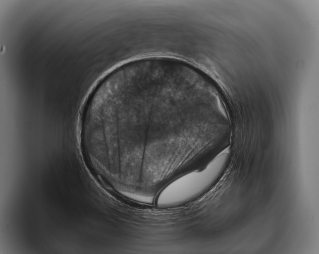 X0000093371508200711081514