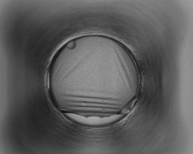 X0000093371510200711081514