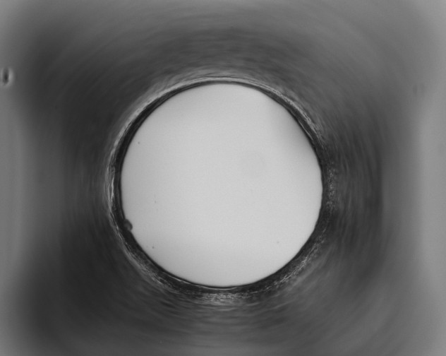 X0000093371511200711081514