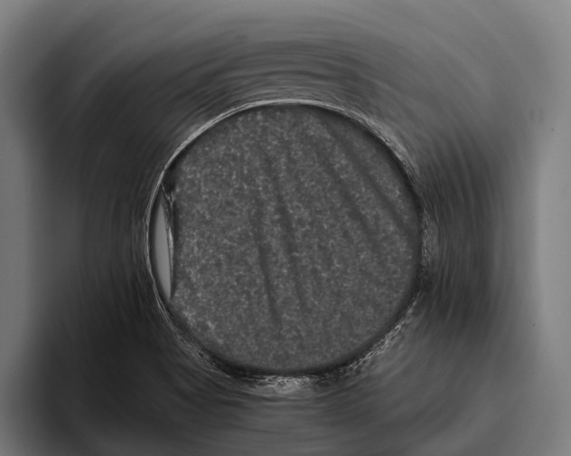 X0000093371513200711081514