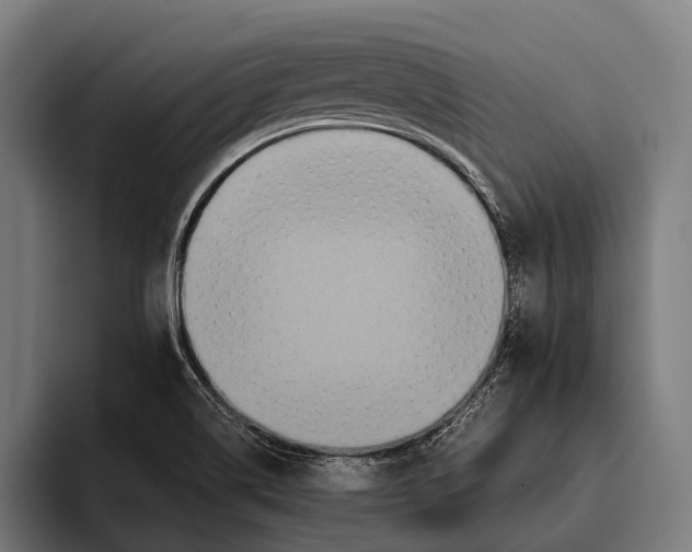 X0000093371514200711081514
