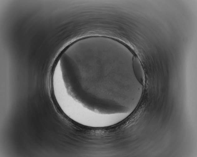 X0000093371515200711081514