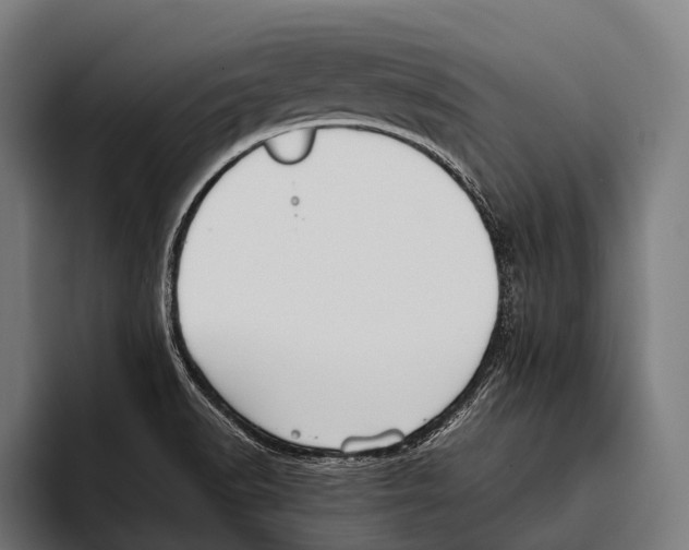X0000093371518200711081514