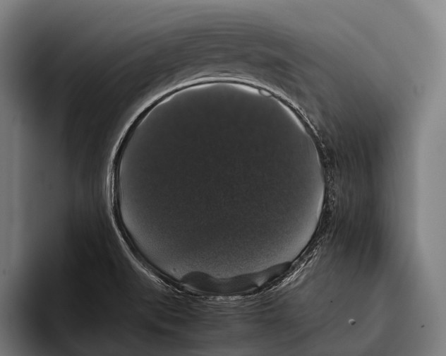 X0000093371519200711081514
