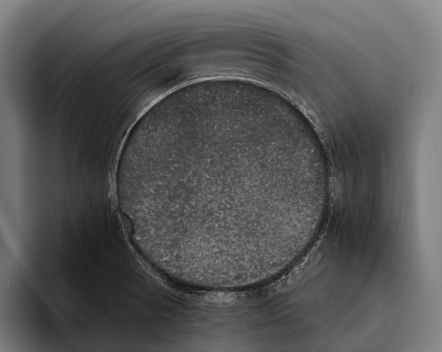 X0000093371521200711081514