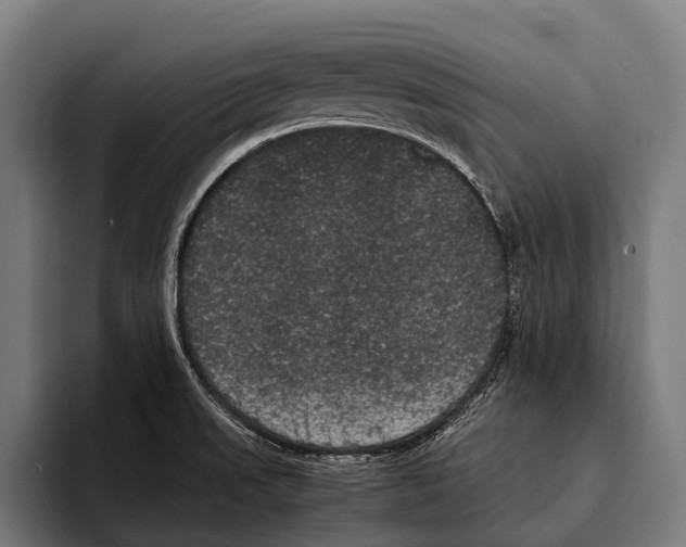 X0000093371523200711081514