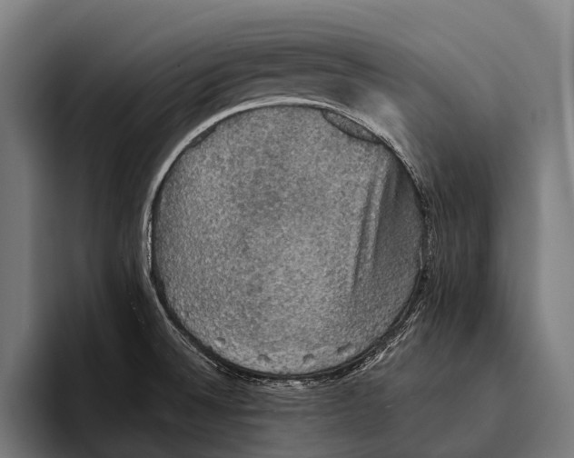 X0000093371524200711081514