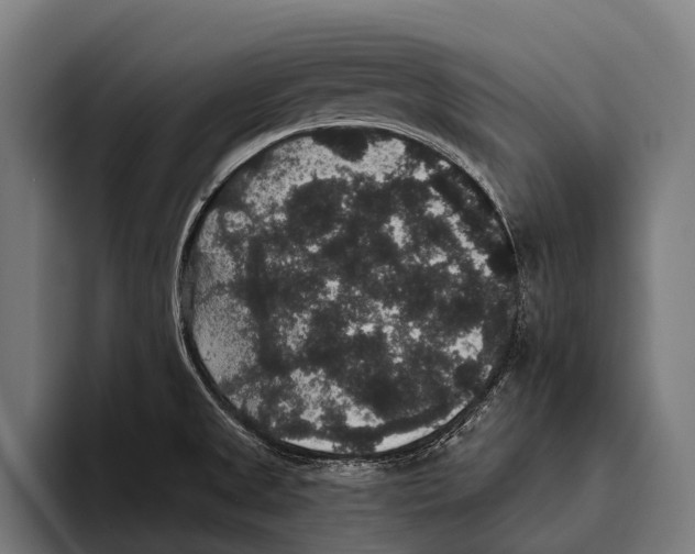 X0000093371525200711081514