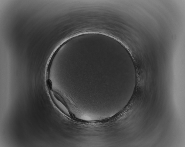 X0000093371527200711081514