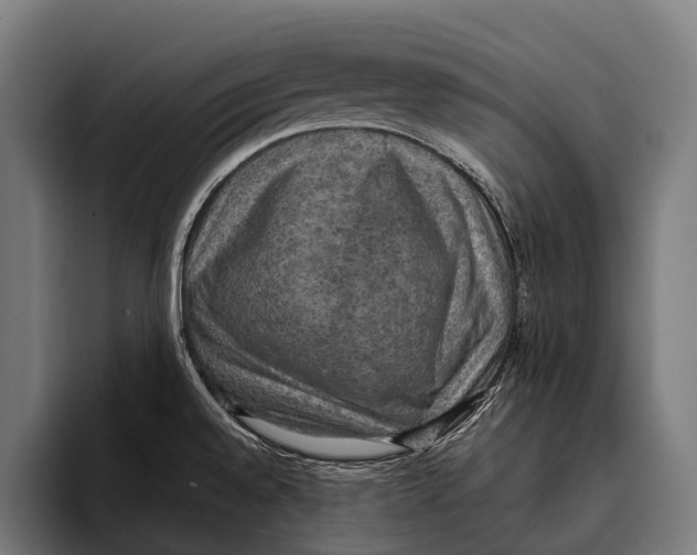X0000093371528200711081514