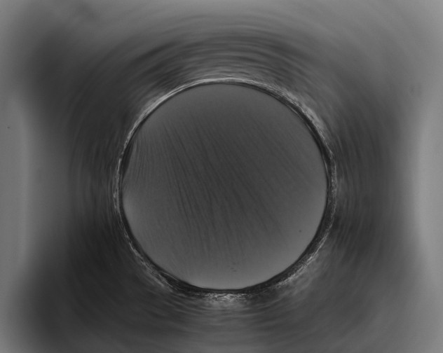 X0000093371529200711081514