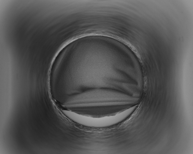 X0000093371530200711081514