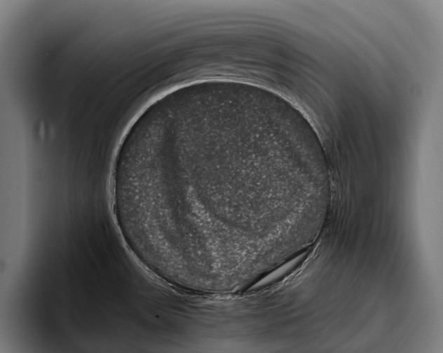 X0000093371531200711081514