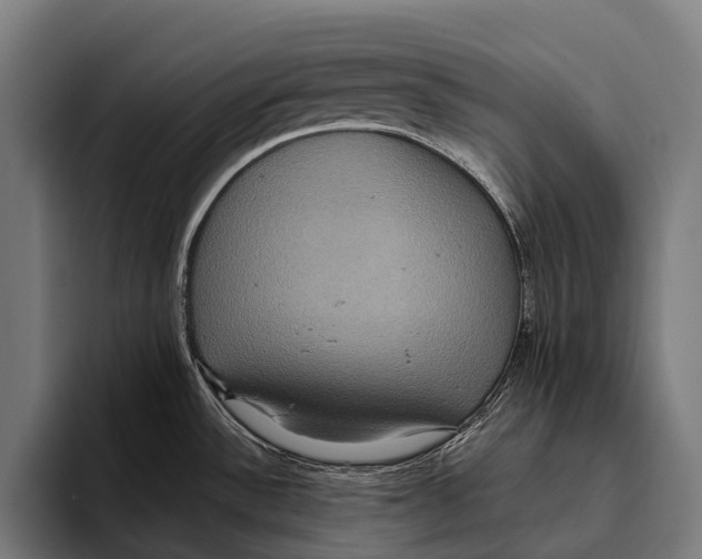 X0000093371532200711081514