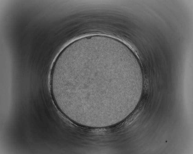 X0000093371535200711081514