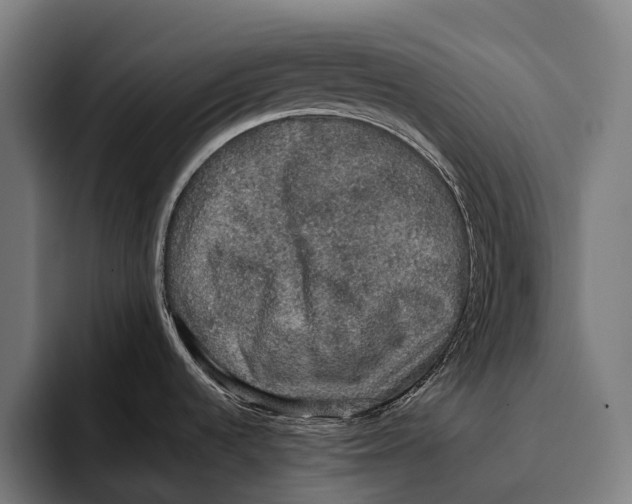 X0000093371536200711081515
