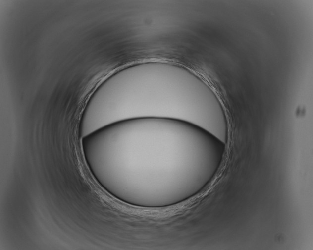 X0000093380001200710111356