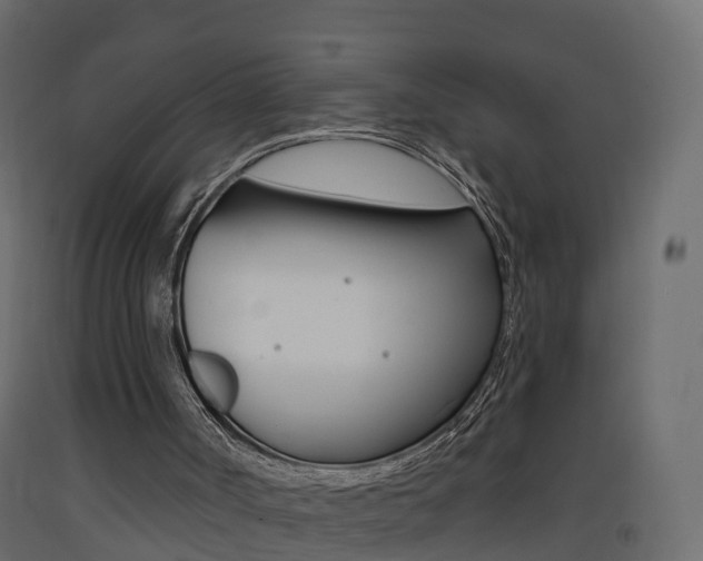 X0000093380002200710111356