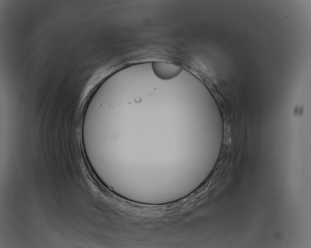 X0000093380004200710111356