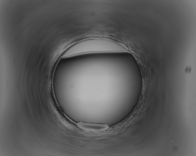 X0000093380005200710111356