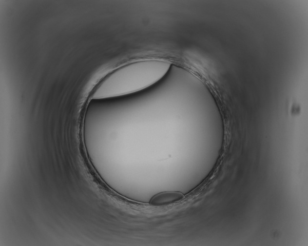 X0000093380006200710111356