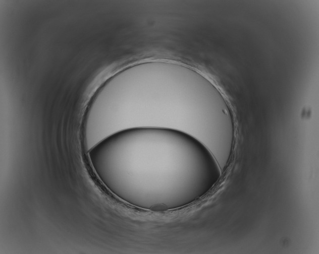 X0000093380007200710111356