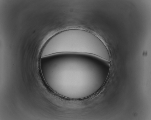 X0000093380008200710111356