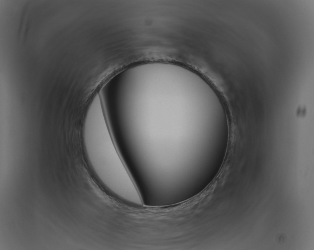 X0000093380009200710111356