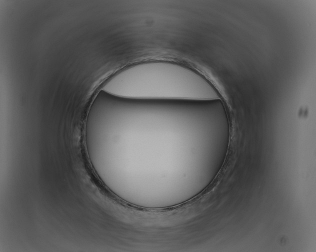 X0000093380010200710111356