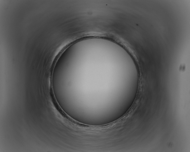 X0000093380011200710111356