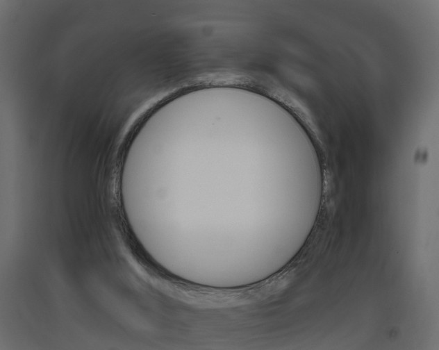 X0000093380012200710111356