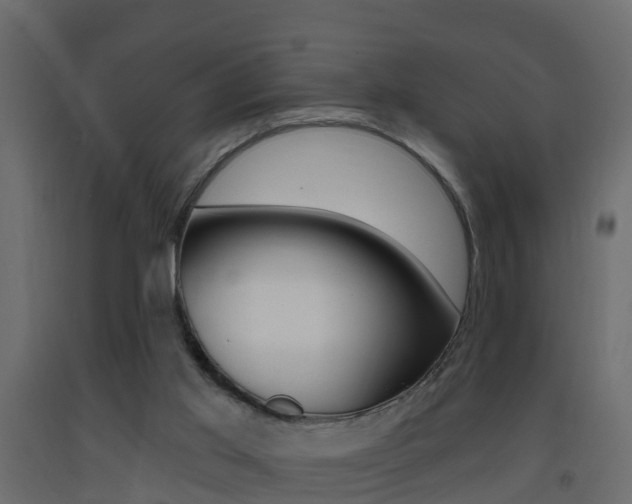 X0000093380013200710111356