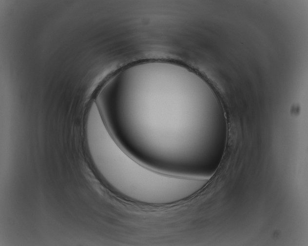 X0000093380015200710111356
