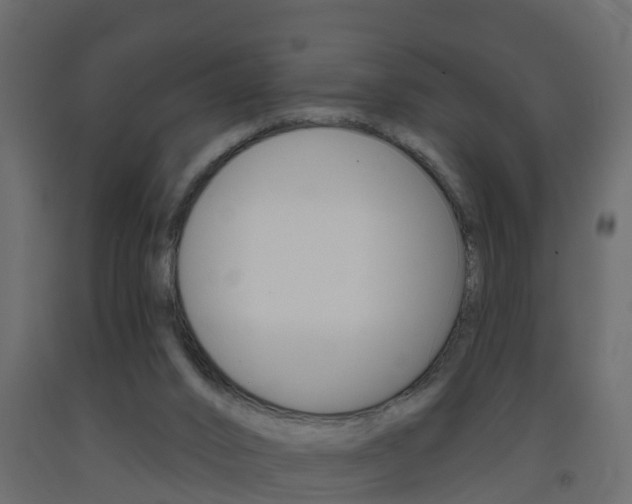 X0000093380016200710111356