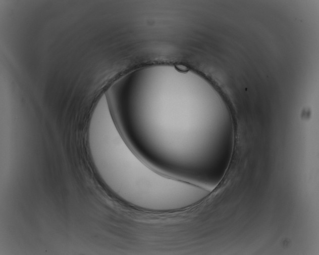 X0000093380017200710111356