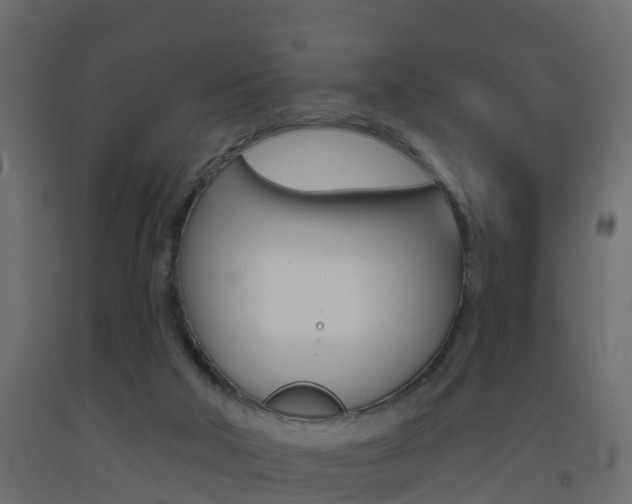 X0000093380018200710111356