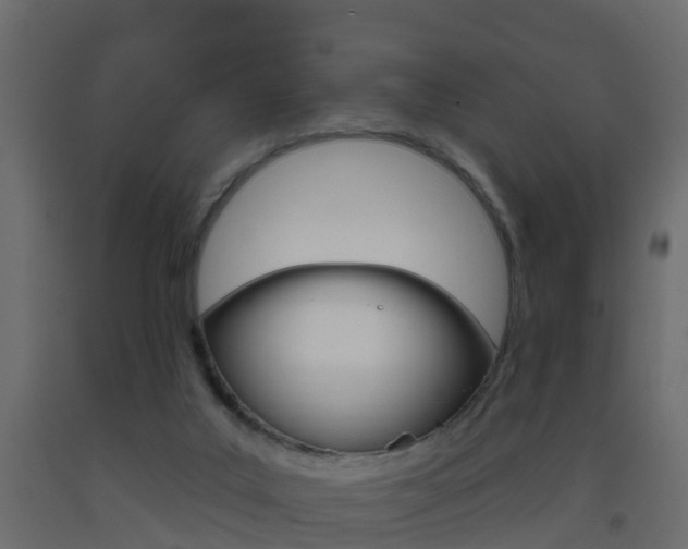 X0000093380019200710111356