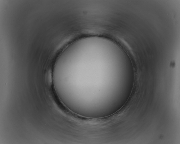 X0000093380020200710111356