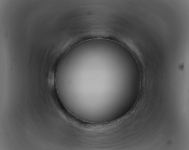 X0000093380021200710111356
