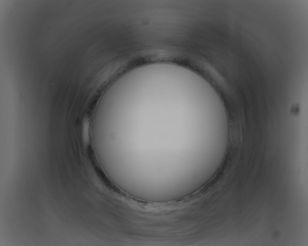X0000093380022200710111356