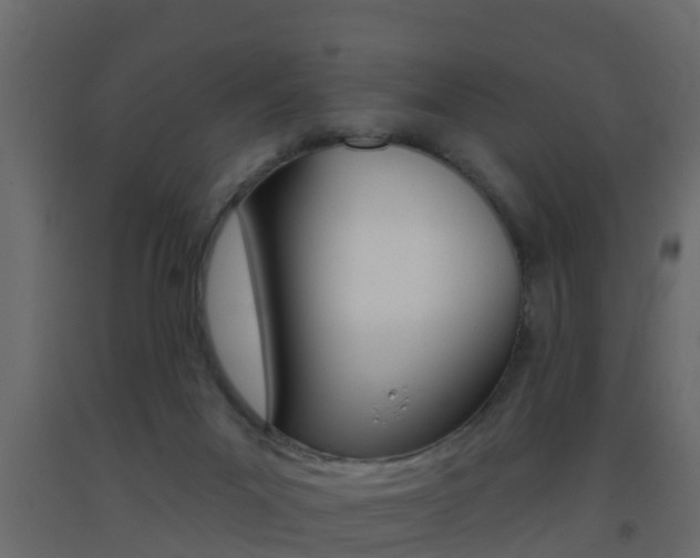 X0000093380023200710111356