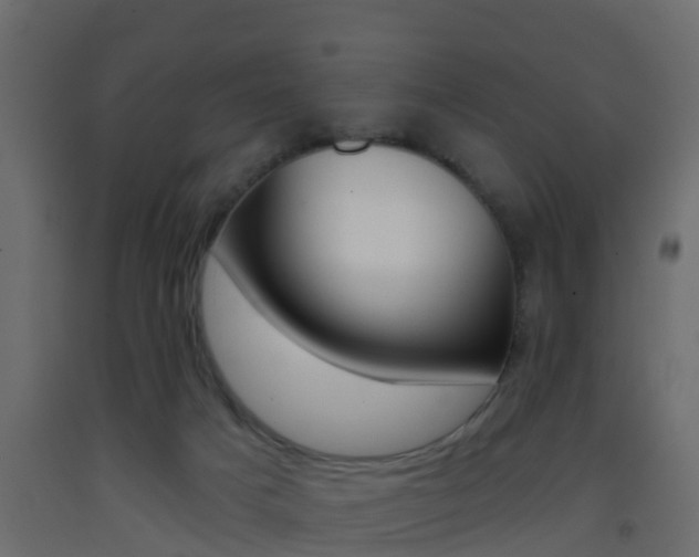 X0000093380025200710111356