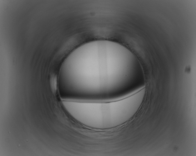X0000093380027200710111356
