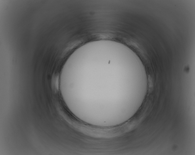 X0000093380028200710111356